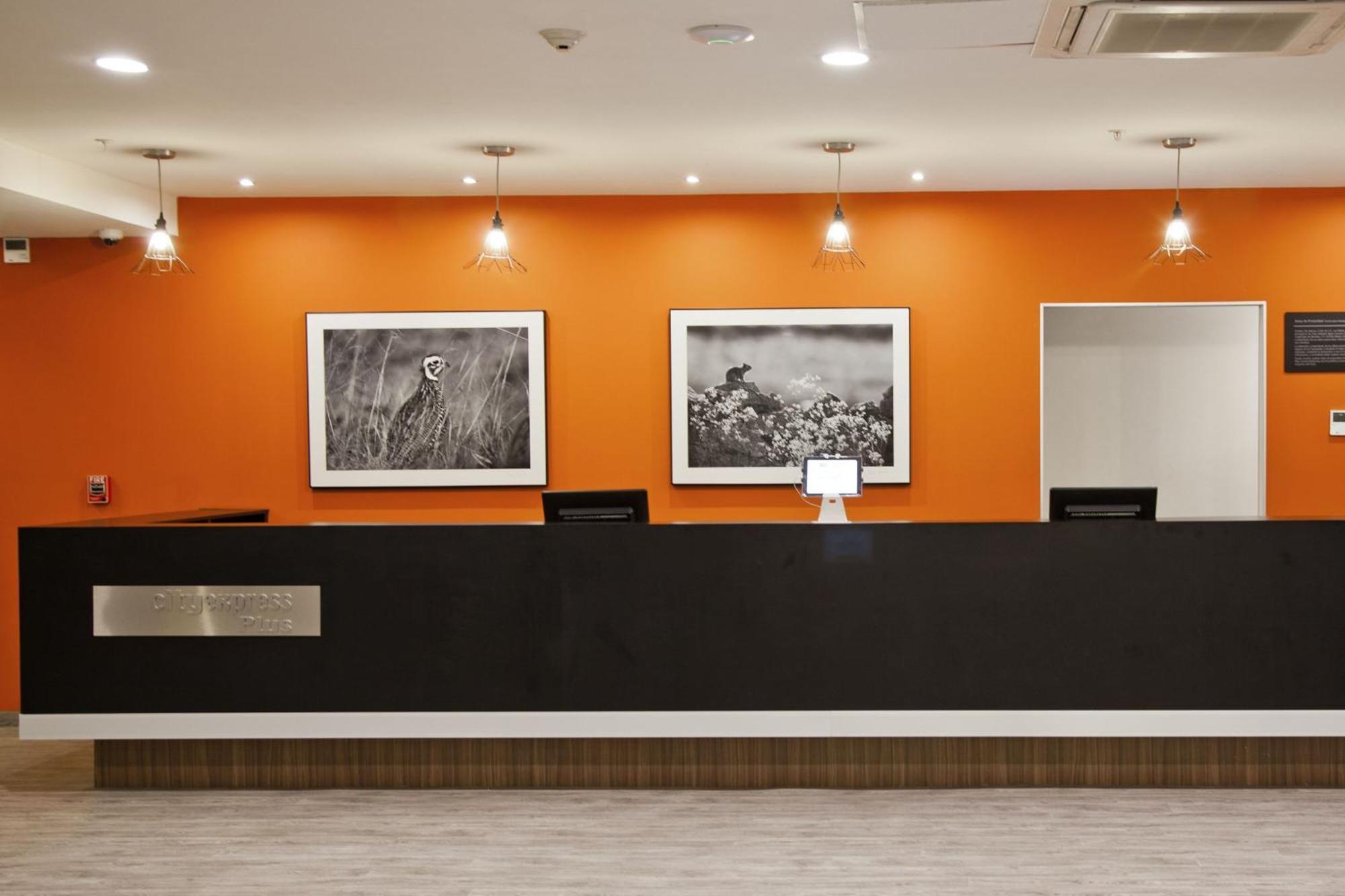 City Express Plus By Marriott Monterrey Nuevo Sur מראה חיצוני תמונה
